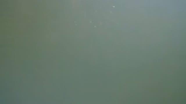 WESTMINSTER COLORADO-2016: Scene Of A Large Body Of Water With Ripples
