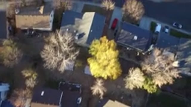 WESTMINSTER COLORADO-2016: Suburban Sky View From Neighborhood In The Fall