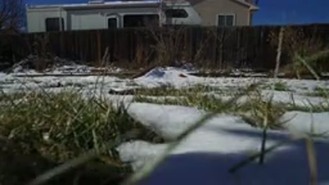 HIDDEN LAKE COLORADO-2016: Low Shot Snowy Garden Clumps Of Grass With Fence