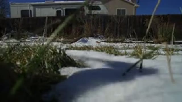 HIDDEN LAKE COLORADO-2016: Drone Taking-Off On A Snowed Garden