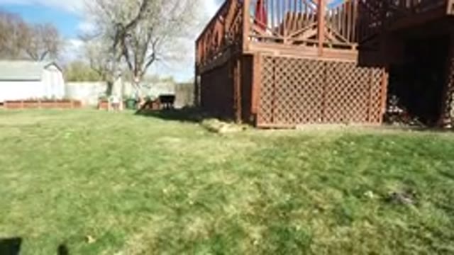 WESTMINSTER COLORADO-2016: A Man Makes A Drone Landing On The Lawn Near His