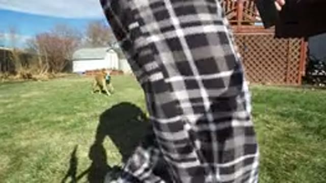 WESTMINSTER COLORADO-2016: Person In Flannel Pajama Pants Walking Around Yard