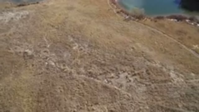 WESTMINSTER COLORADO-2016: The Nature Can Be Fascinating And This Video Will