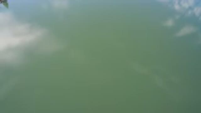 WESTMINSTER COLORADO-2016: A Lake Showing The Background And The Reflection Of