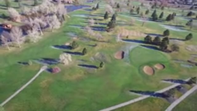 WESTMINSTER COLORADO-2016: Valley Of Trees Greenery Freedom Wildlife Nature