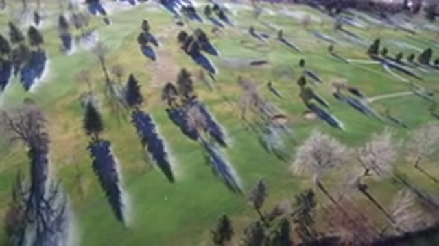 WESTMINSTER COLORADO-2016: Aerial View Of Field With Trees That Casts Shadows
