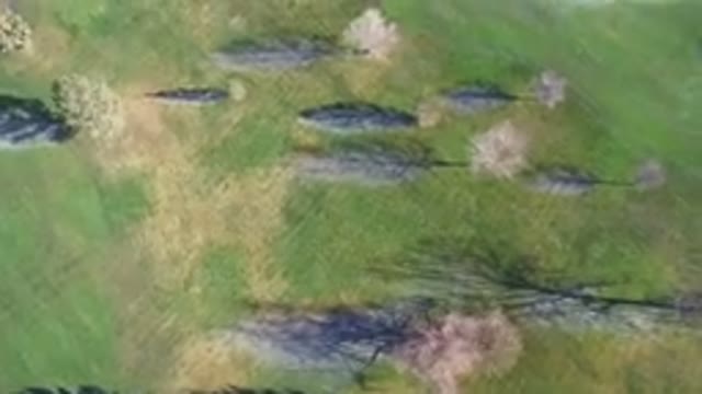 WESTMINSTER COLORADO-2016: Drone Footage Flying High Above Grass Beside Calm