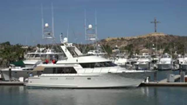 SAN JOSE DEL CABO MEXICO-2017: Harbor Scene With Boats And Trees Lining Waterfront