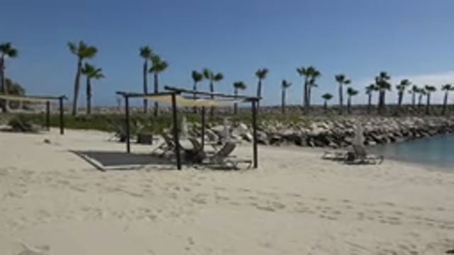 SAN JOSE DEL CABO MEXICO-2017: White Sand Beach Surrounded By Coconut Trees