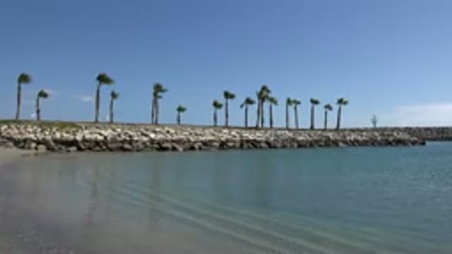 SAN JOSE DEL CABO MEXICO-2017: Inlet By The Water Bay From Ocean Palm Trees On