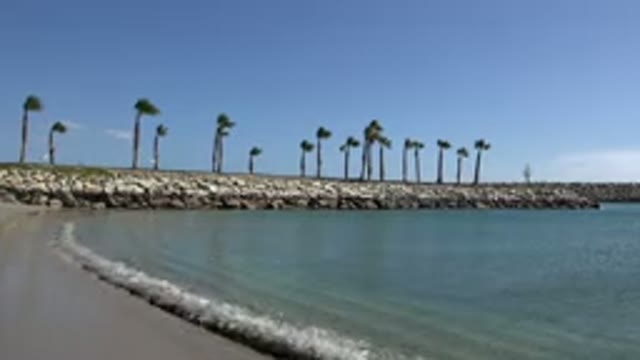 SAN JOSE DEL CABO MEXICO-2017: Palm Trees Standing By A Rocky Shoreline