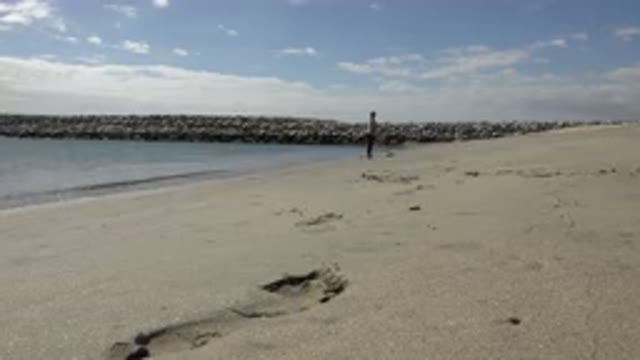 SAN JOSE DEL CABO MEXICO-2017: Person Standing On A Beach