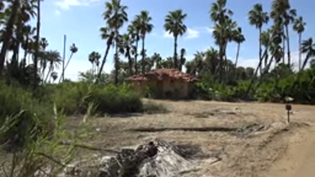 SAN JOSE DEL CABO MEXICO-2017: A Small House In A Tropical Area Surrounded By Palm Trees And Sand