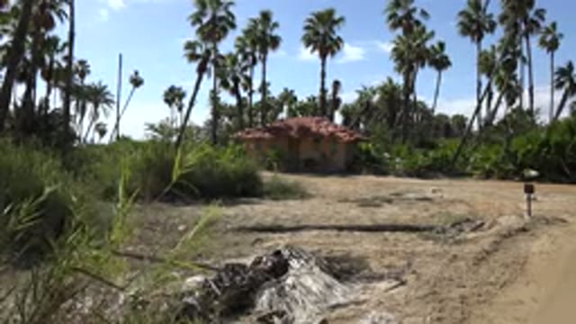 SAN JOSE DEL CABO MEXICO-2017: A View Of A House And There Are A Bunch Of Palm Trees