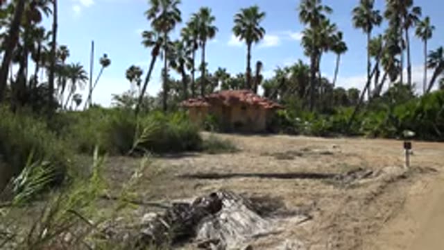 SAN JOSE DEL CABO MEXICO-2017: The Isolated House Amidst Coconut Trees and Greenery