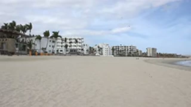 SAN JOSE DEL CABO MEXICO-2017: The View Of Building By A Beautiful Seashore With Seagull Flying