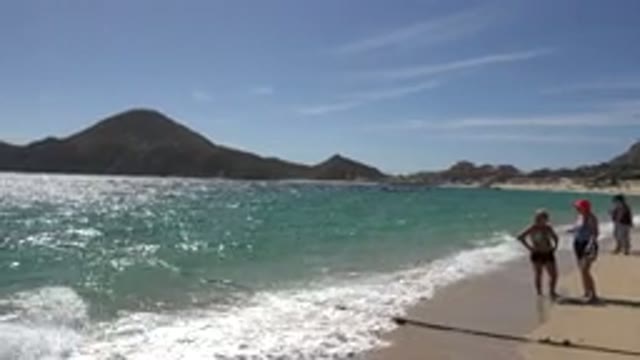 CABO SAN LUCAS MEXICO-2017: Zoo Roaming Pavilion Open For Free Display