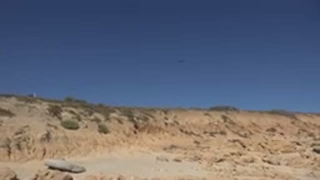 LOS CABOS MEXICO-2017: Sandy Beach Landscape with Birds and Clear Sky