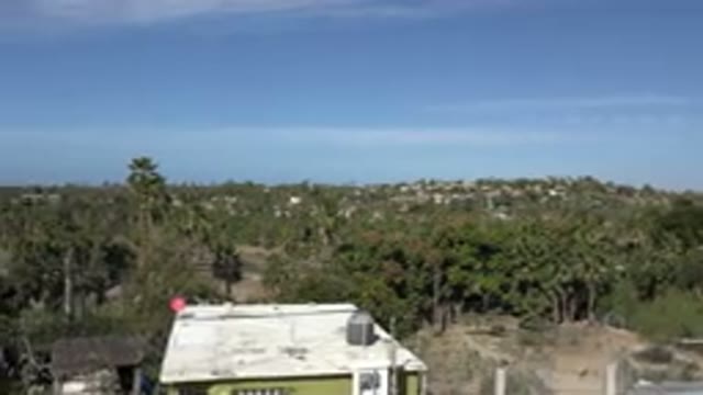 LOS CABOS MEXICO-2017: Jungle Area With Lots Of Trees And A Few Buildings