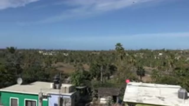 LOS CABOS MEXICO-2017: House Near An Area With Lots Of Vegetation On A Sunny Day