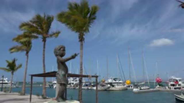 LOS CABOS MEXICO-2017: A Time Lapse Of A Beach Side View With Palm Trees And The