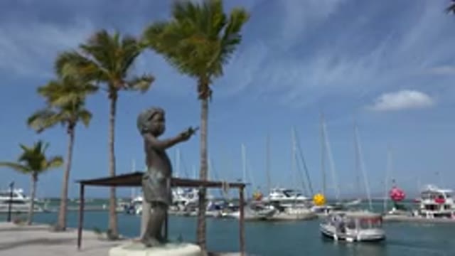 LOS CABOS MEXICO-2017: Small Port Where Fishing Boats Anchor Near Coconut Trees
