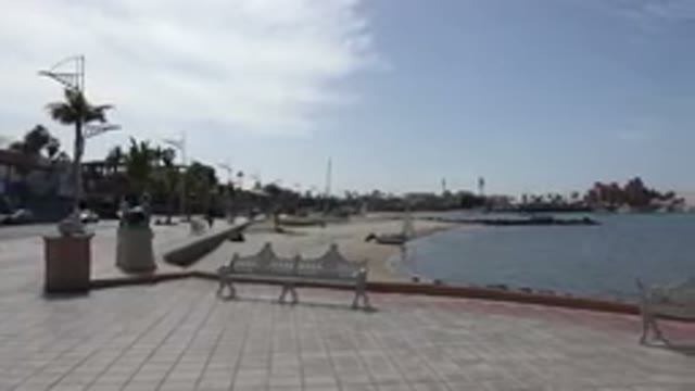 LOS CABOS MEXICO-2017: Sea View Sunny Day Benches Palm Trees Cars Avenue