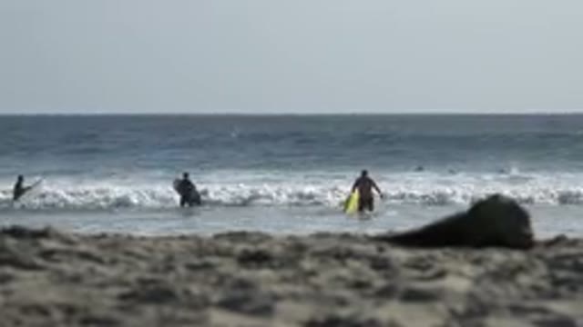 LOS CABOS MEXICO-2017: Three People in Front of the Sea with Fish and Waves