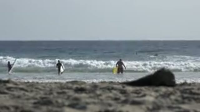 LOS CABOS MEXICO-2017: Surfers On A Coastal Beach Walking To Their Obsession