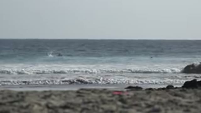 LOS CABOS MEXICO-2017: A View Of Three Surfers Swinging At The Beach With Rushing Waves