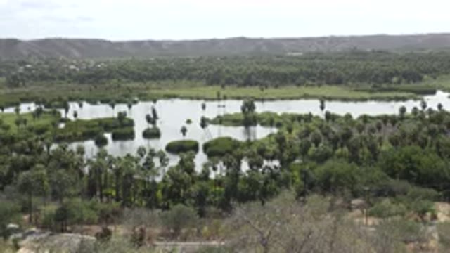 LOS CABOS MEXICO-2017: The Camera Captures The Scenery Of The Green Trees And Lake
