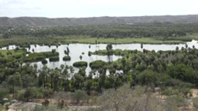 LOS CABOS MEXICO-2017: Open Area With Greenery And Trees With A Water Body In