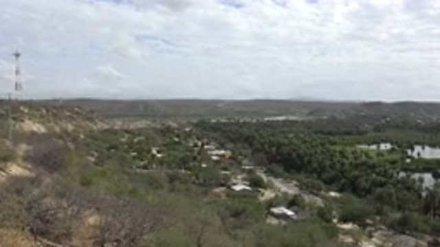 LOS CABOS MEXICO-2017: Lush Forest in Los Cabos Mexico