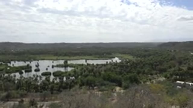 LOS CABOS MEXICO-2017: Footage Of A Large Green Landscape Of Trees Grass And