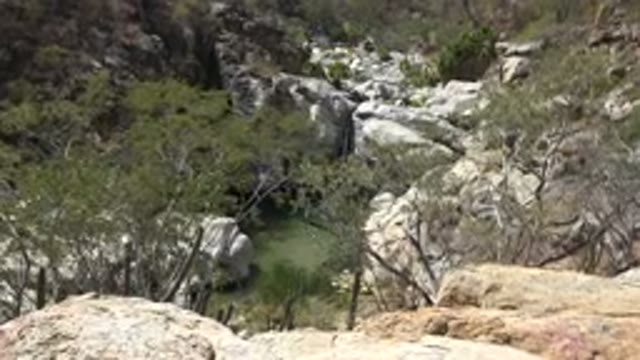 LOS CABOS MEXICO-2017: The Swift Wind Blowing Between the Mountains Hitting Trees and Boulders