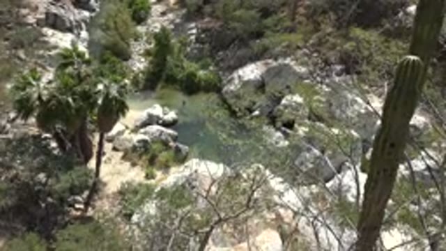 LOS CABOS MEXICO-2017: Pond Surrounded By Boulders And Trees