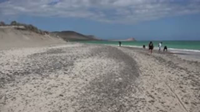 CABO PULMO MEXICO-2017: Five People Walking On A Beach With Mountains