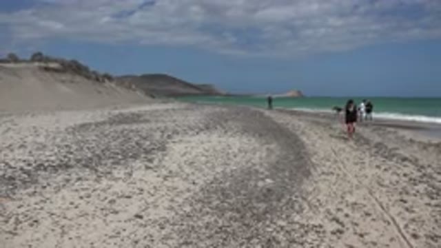 CABO PULMO MEXICO-2017: A View From The Beach With People Walking