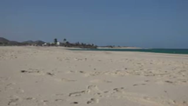 CABO PULMO MEXICO-2017: Desert Beach Blue Sky Clean Sand With Palm Trees