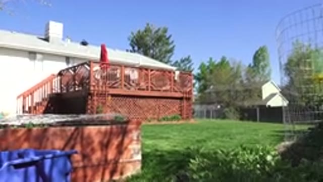 WESTMINSTER COLORADO-2016: Residential Backyard and Deck on a Sunny Day