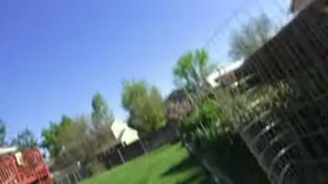 WESTMINSTER COLORADO-2016: Person With Terrible Camera Skills Shows Off Backyard