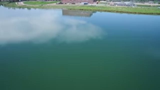 WESTMINSTER COLORADO-2017: Look At That Water Color It's Amazing Grass Also