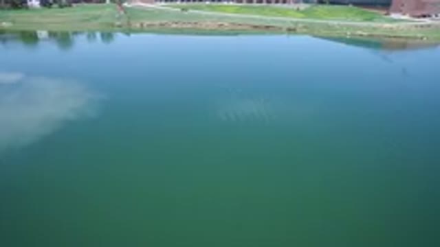 WESTMINSTER COLORADO-2017: Water Body And Green Banks With Reflection Of Clouds