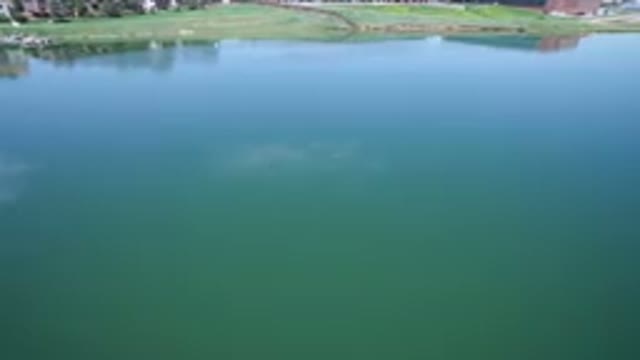 WESTMINSTER COLORADO-2017: Birds Flying Over A Blue Lake In The Idle Of The