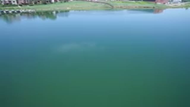 WESTMINSTER COLORADO-2017: Aerial Filming A Big Calm Green Lake With Some Houses