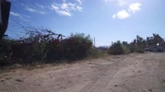 PLAYITA BCS MEXICO-2017: Dog Walking on Fenced Mud Road Under Cloudy Sky