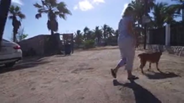PLAYITA BCS MEXICO-2017: Walking In The Farm House