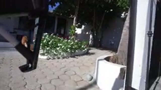 PLAYITA BCS MEXICO-2017: Camera Joining A Simple House Showing Its Entrance
