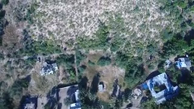 PLAYITA BCS MEXICO-2017: An Aerial View Of Tropical Vegetation And Scenic Landscape