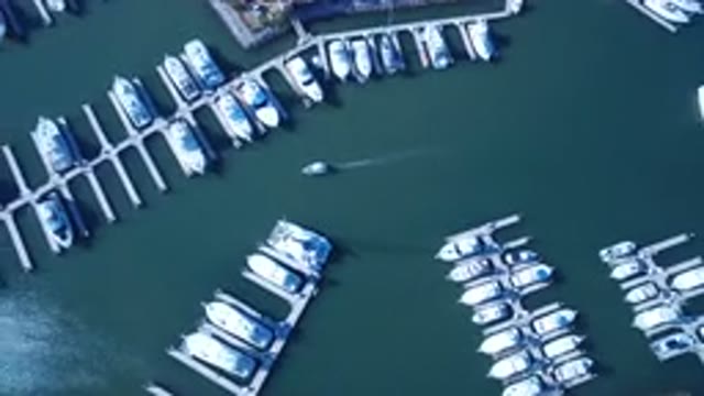 PLAYITA BCS MEXICO-2017: White Beautiful Boats Parked Nicely And Orderly